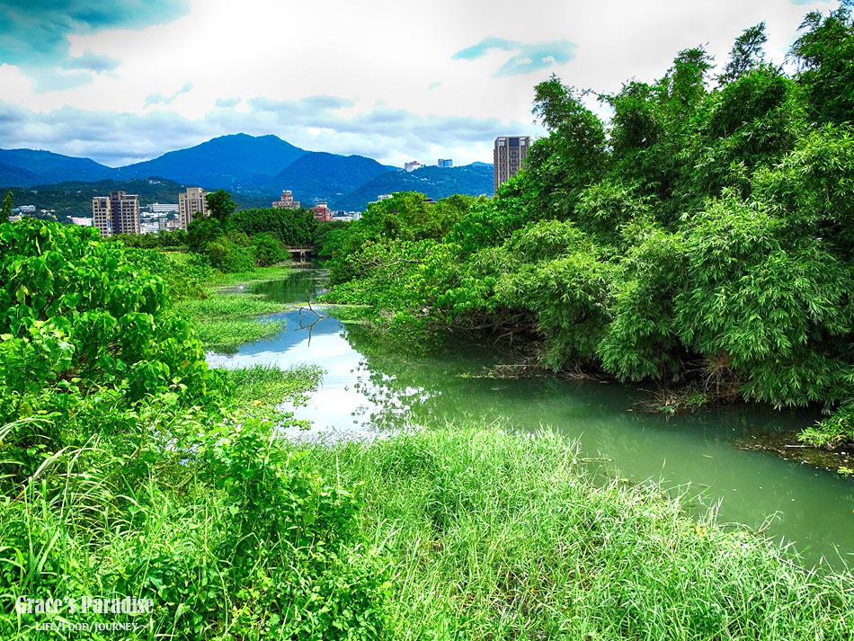 驚艷關渡+美崙公園 (33).jpg