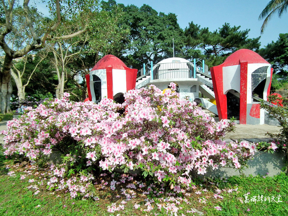 台北景點-青年公園-交通公園教學區 (16).jpg