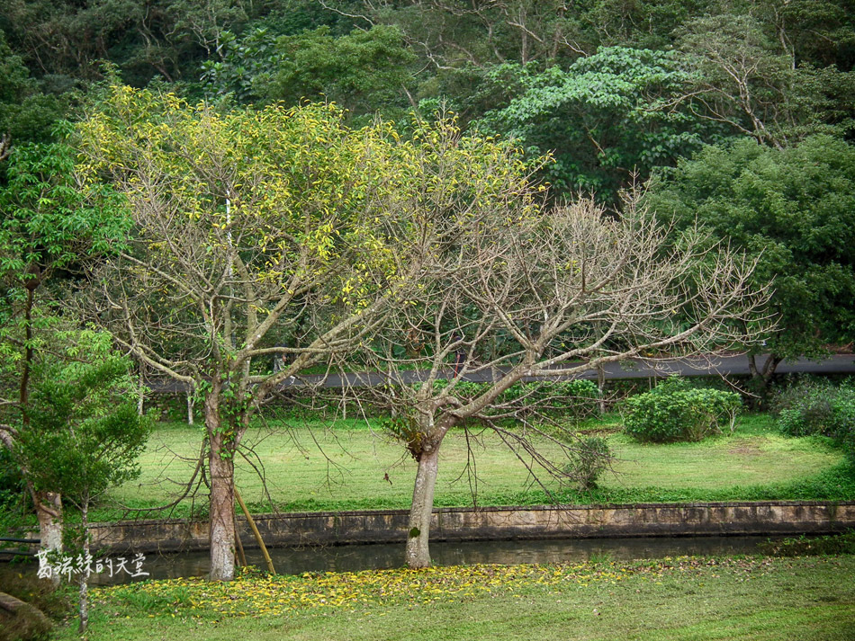 礁溪景點一日遊-龍潭湖公園.JPG