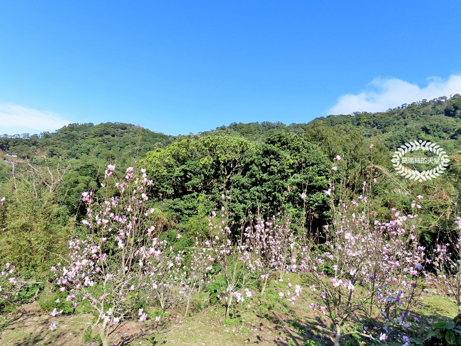 淡水景點-楓樹湖步道&石頭花園 (15).jpg