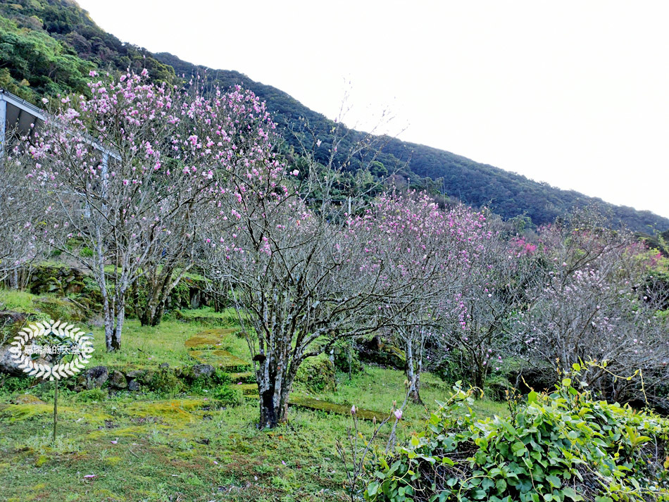 淡水景點-楓樹湖步道&石頭花園 (47).jpg