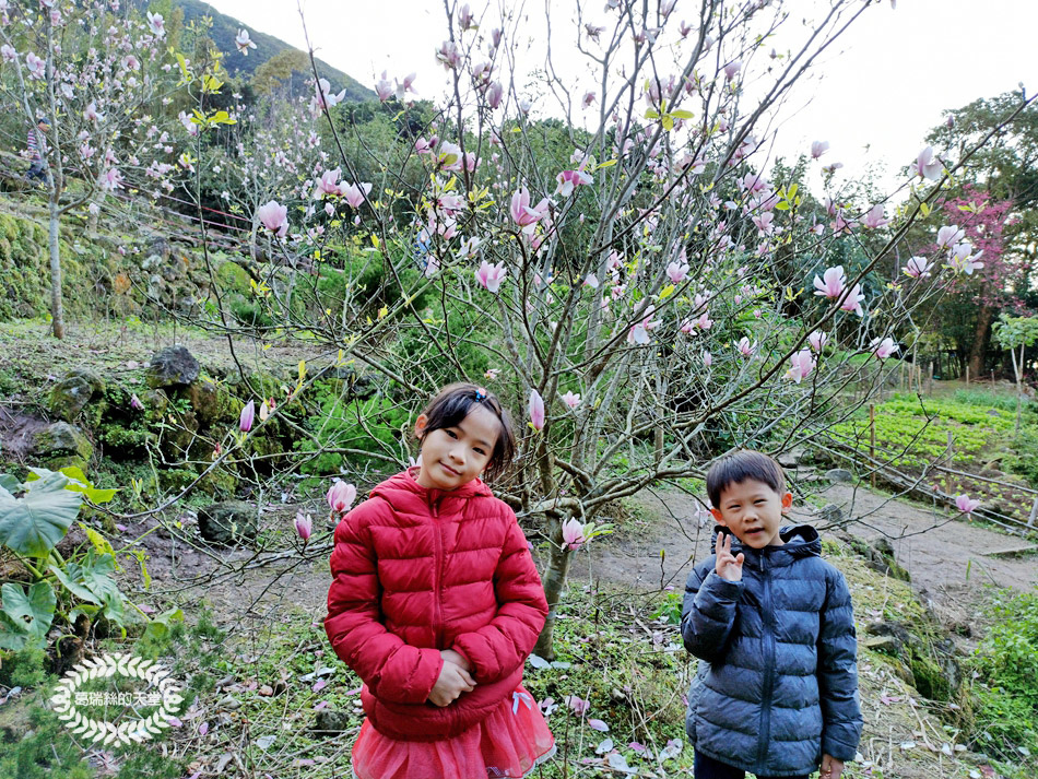 淡水景點-楓樹湖步道&石頭花園 (50).jpg