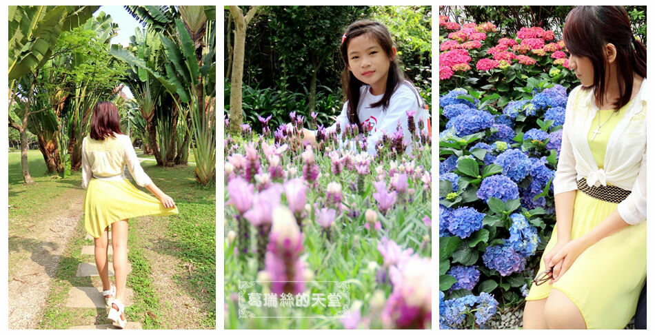 大安森林公園-臺北杜鵑花繡球花季 (9).jpg