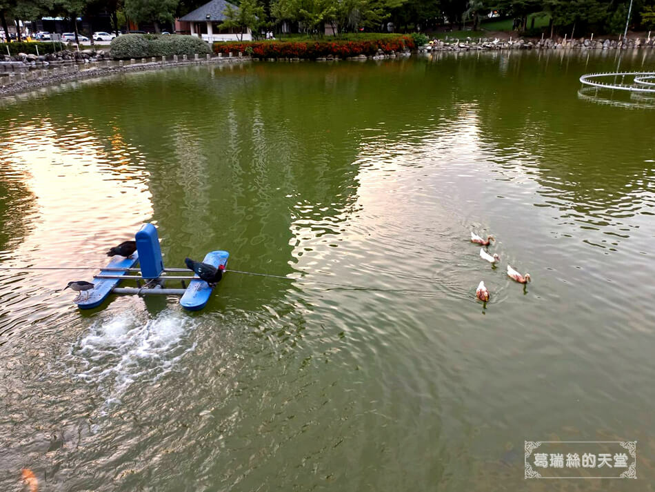 台中親子景點-豐樂雕塑公園 (7).jpg