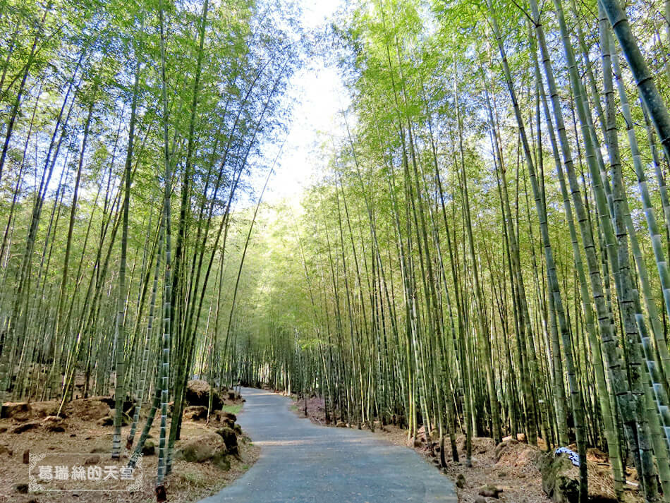 溪頭鹿谷住宿推薦-金台灣山莊 (60).jpg