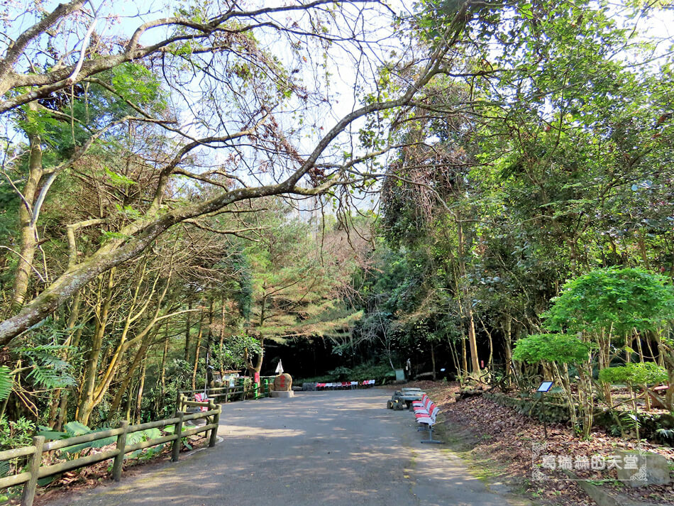 南投景點-鳳凰谷鳥園生態園區 (10).JPG