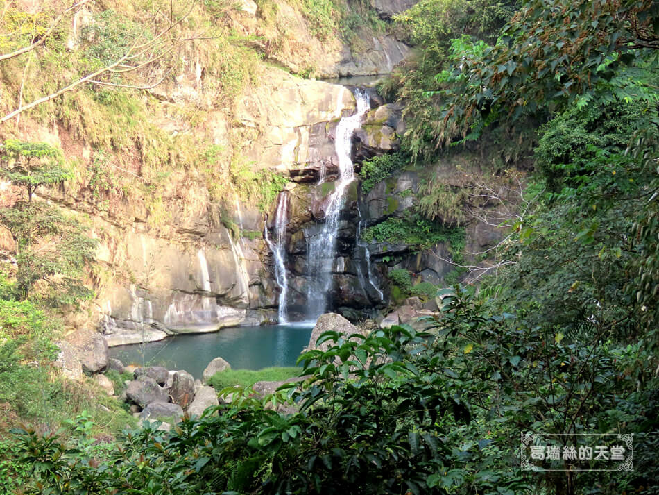 南投景點-鳳凰谷鳥園生態園區 (42).JPG