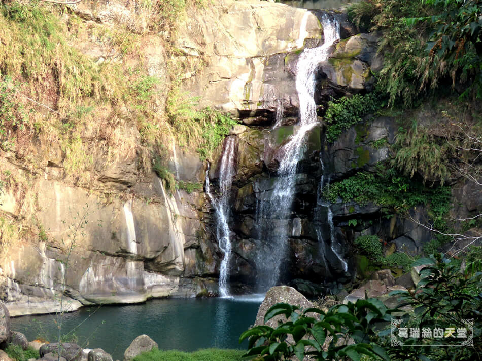 南投景點-鳳凰谷鳥園生態園區 (43).JPG