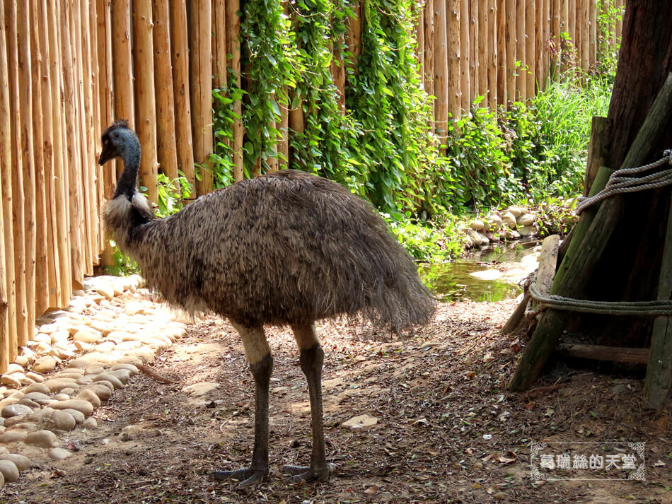 新竹景點-新竹市立動物園 (11).JPG