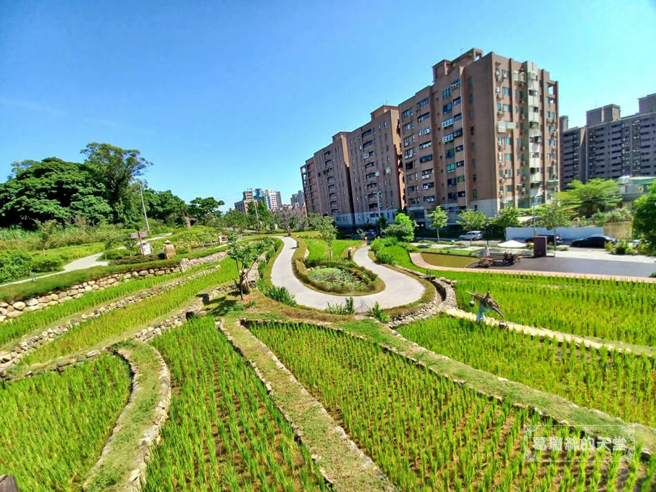 桃園特色遊戲場-桃園免費景點-大有梯田生態公園 (2).jpg