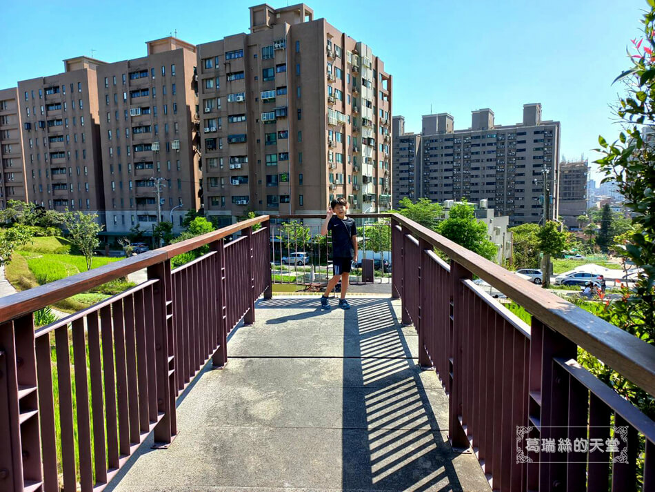 桃園特色遊戲場-桃園免費景點-大有梯田生態公園 (3).jpg