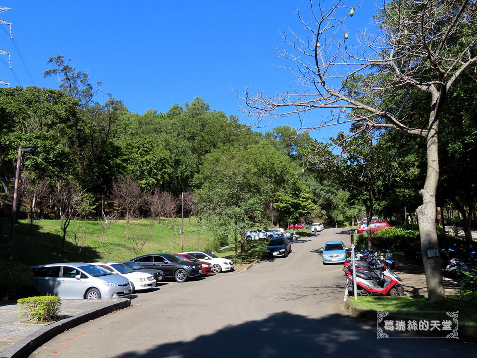 桃園落羽松景點-長庚養生文化村 落羽松公園 (41).JPG