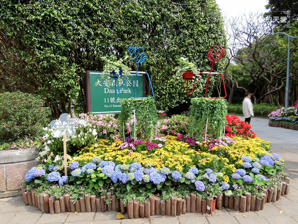 大安森林公園-杜鵑花季資訊 (3).JPG