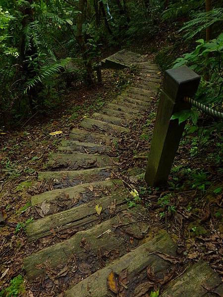 皇帝殿步道