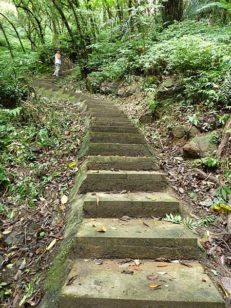 孝子山步道