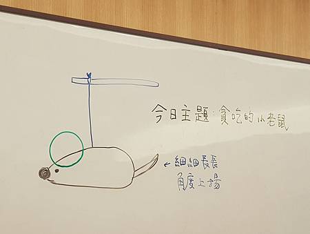 1070530貪吃的小老鼠12