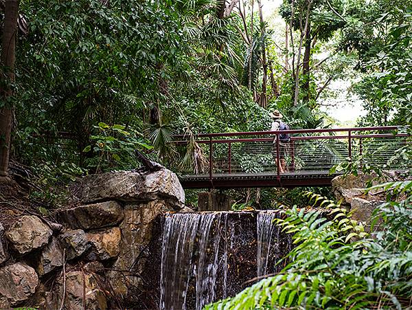 george-brown-darwin-botanic-gardens-waterfall