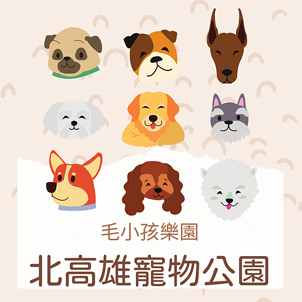 Fur Babies Instagram Post Fur Babies Instagram Post