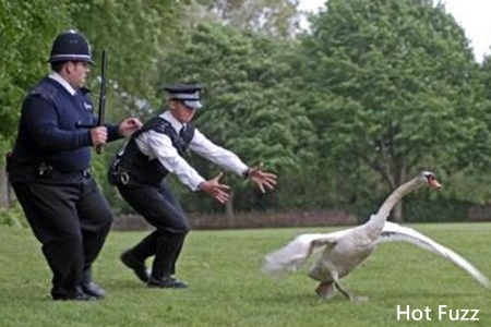 Hot Fuzz-2.jpg