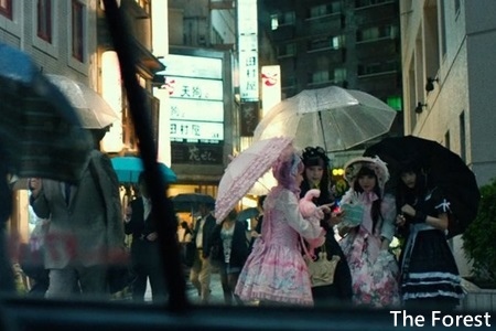 The Forest-3.jpg The Forest-3.jpg