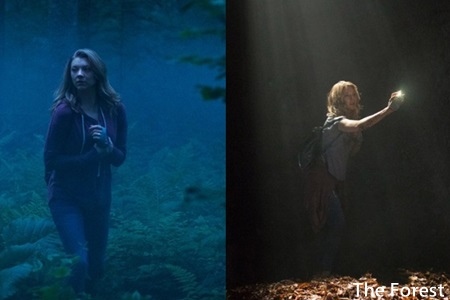 The Forest-5.jpg The Forest-5.jpg