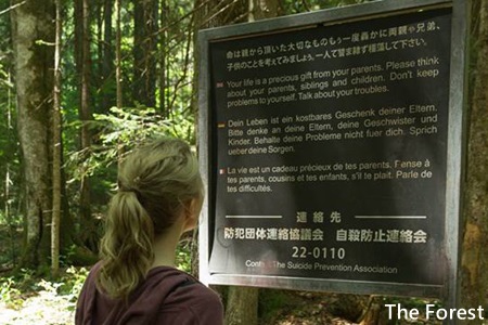 The Forest-1.jpg The Forest-1.jpg