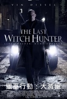 The Last Witch Hunter.jpg