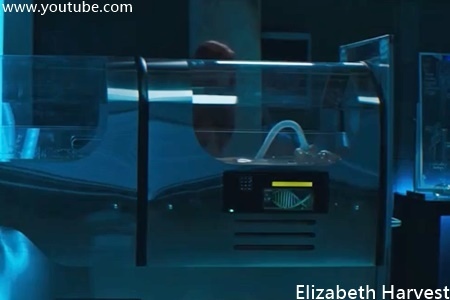 Elizabeth Harvest-2.jpg Elizabeth Harvest-2.jpg