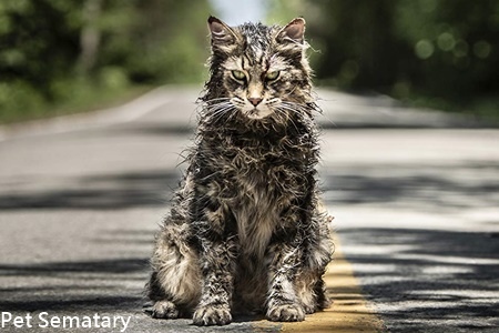 Pet Sematary-3.jpg