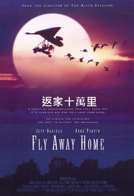 Fly Away Home.jpg