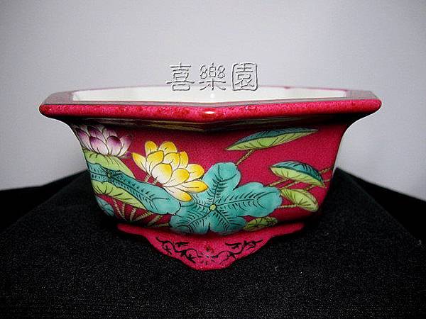 興榮藝---珊瑚紅彩繪花鳥八角盆鉢