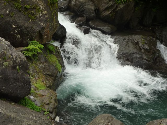 P1090337.JPG P1090337.JPG