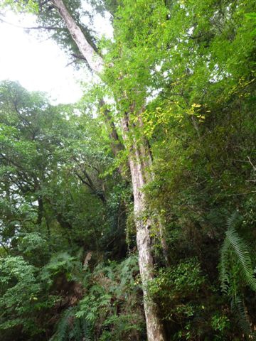 P1090575.JPG P1090575.JPG