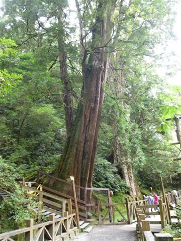 P1090582.JPG P1090582.JPG