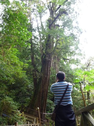 P1090583.JPG P1090583.JPG