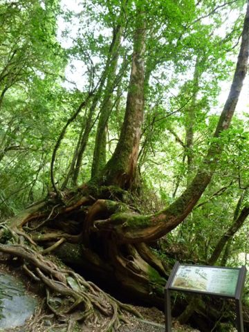 P1090589.JPG P1090589.JPG