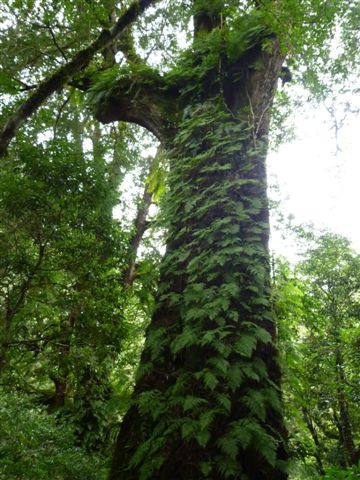 P1090590.JPG P1090590.JPG