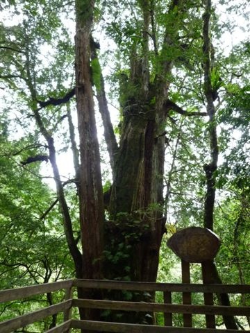 P1090593.JPG P1090593.JPG