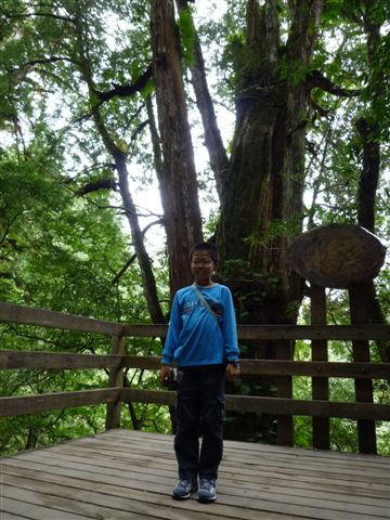 P1090594.JPG P1090594.JPG