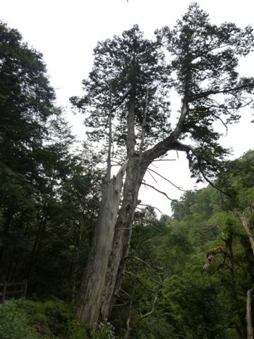 P1090621.JPG P1090621.JPG