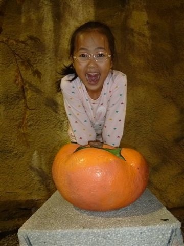 P1090626.JPG P1090626.JPG