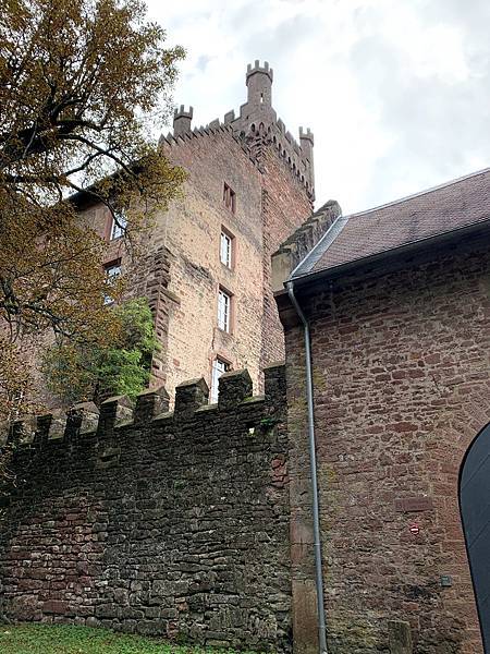 IMG_2983.jpg IMG_2983.jpg