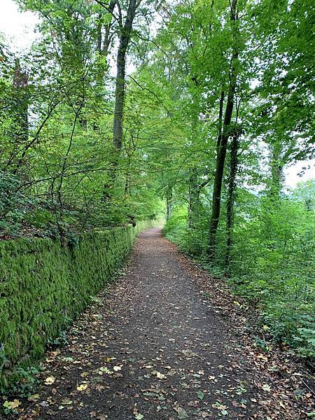 IMG_2993.jpg IMG_2993.jpg