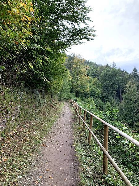 IMG_2996.jpg IMG_2996.jpg