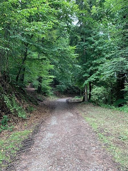 IMG_3023.jpg IMG_3023.jpg