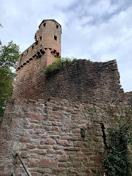 IMG_3032.jpg IMG_3032.jpg