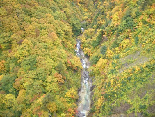 八甲山下沿路風景-5.JPG