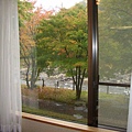 青森縣-奧入瀨溪流HTL-房間窗景-1.JPG