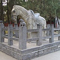 D5洛陽白馬寺-27.JPG