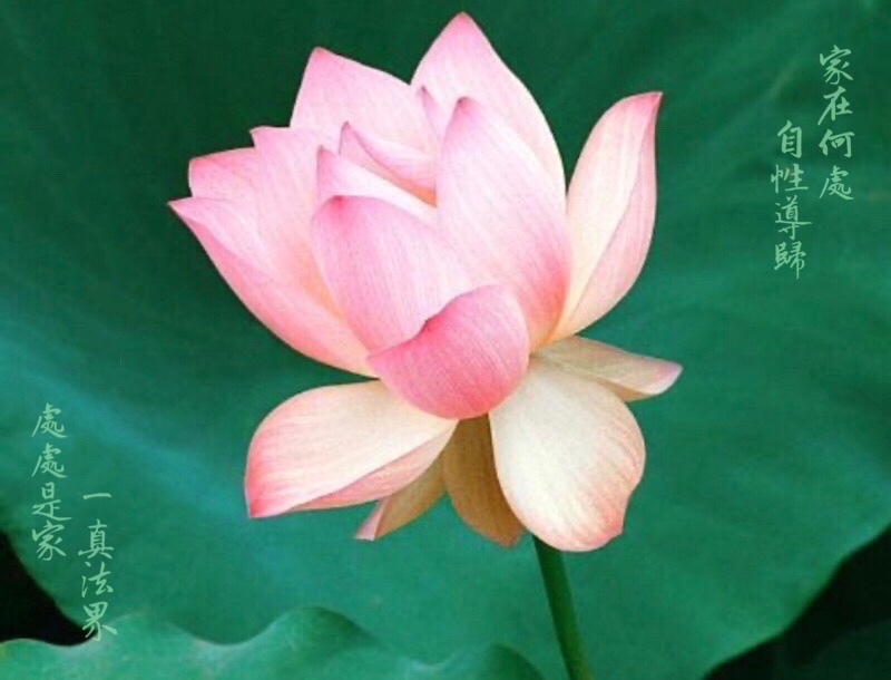 1050117 都要回家.jpeg 1050117 都要回家.jpeg